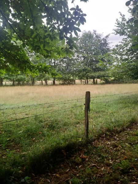 toekomstige-campingterrein-langs-bospad